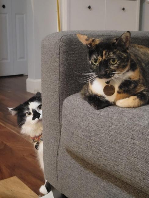 ������ ��������