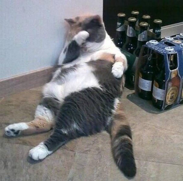 ������ ��������