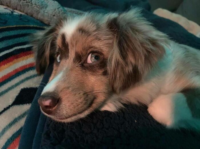 ������ ��������