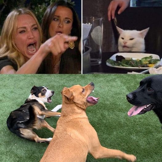 ������ ��������