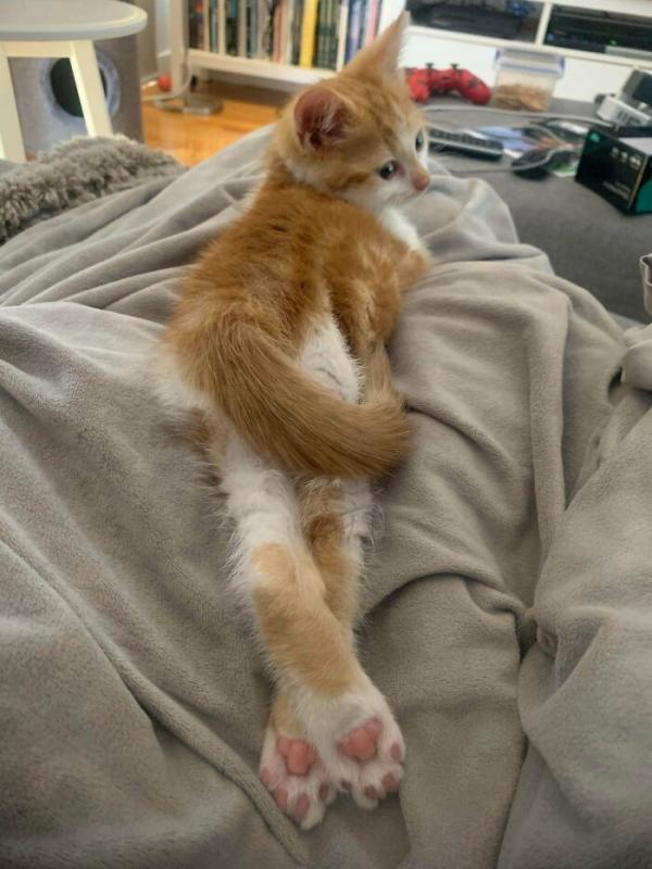 ������ ��������