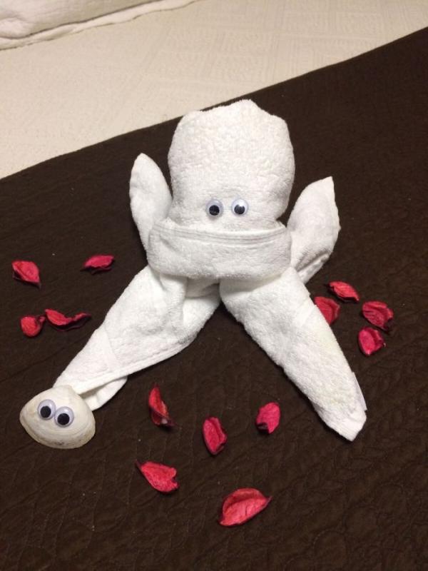 ������ ��������