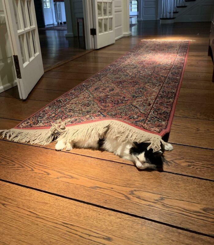 ������ ��������