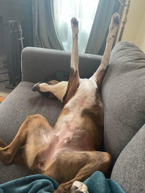 ������ ��������