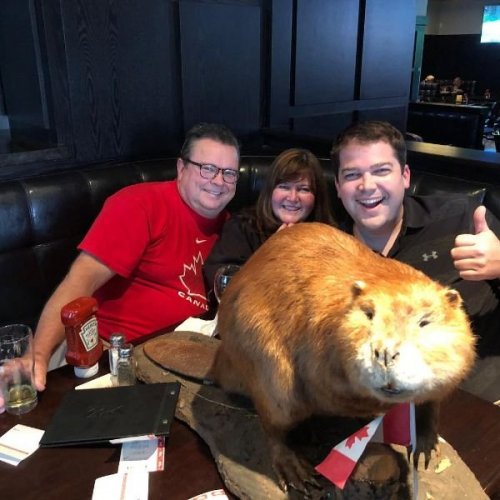 ������ ��������