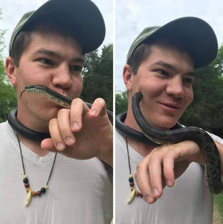 ������ ��������