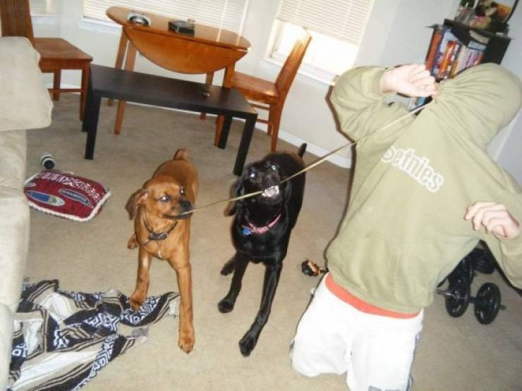 ������ ��������