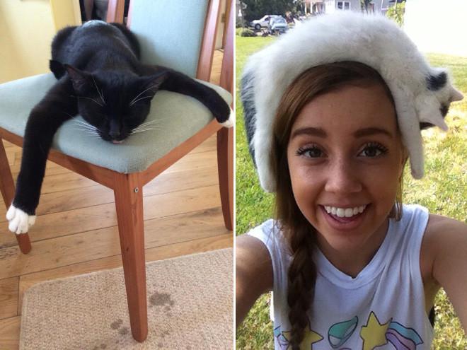 ������ ��������