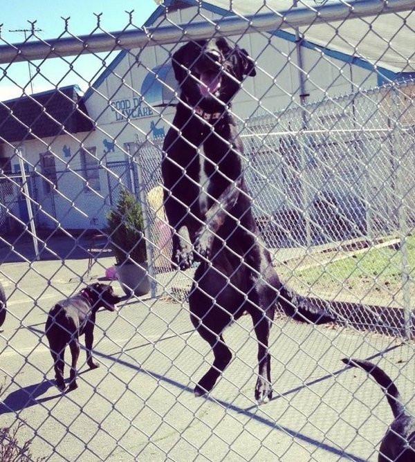 ������ ��������