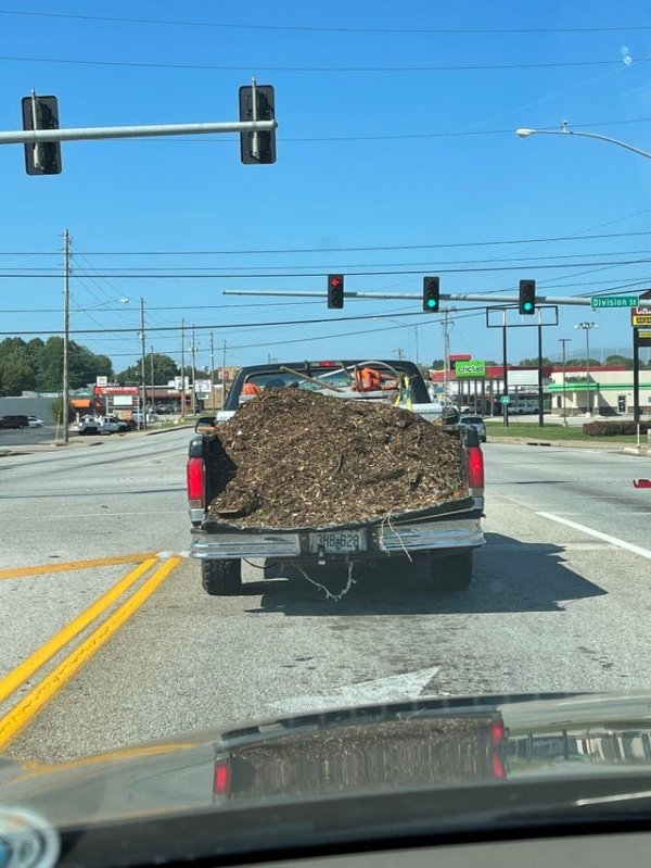 ������ ��������
