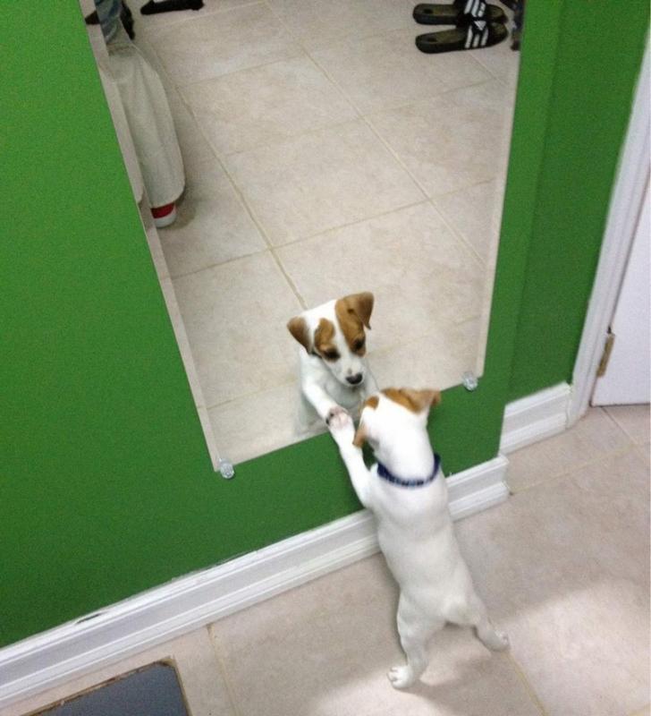 ������ ��������