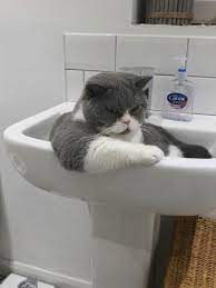 ������ ��������