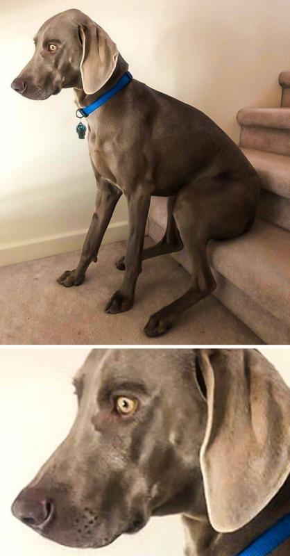 ������ ��������