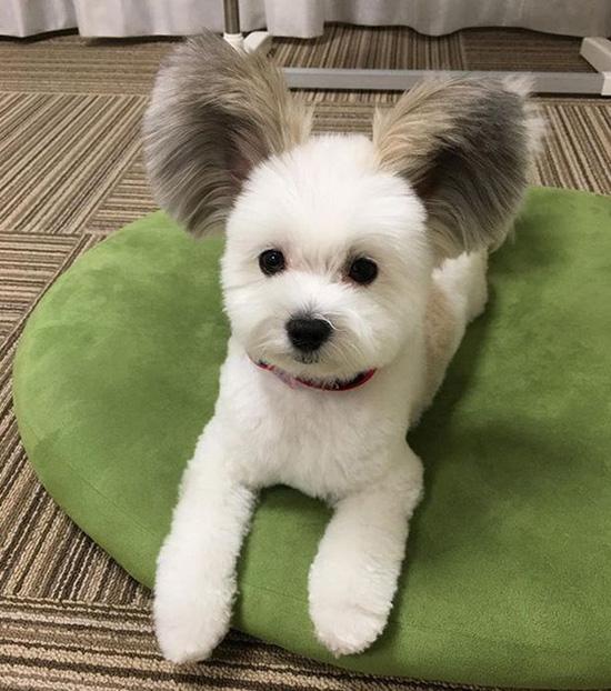 ������ ��������