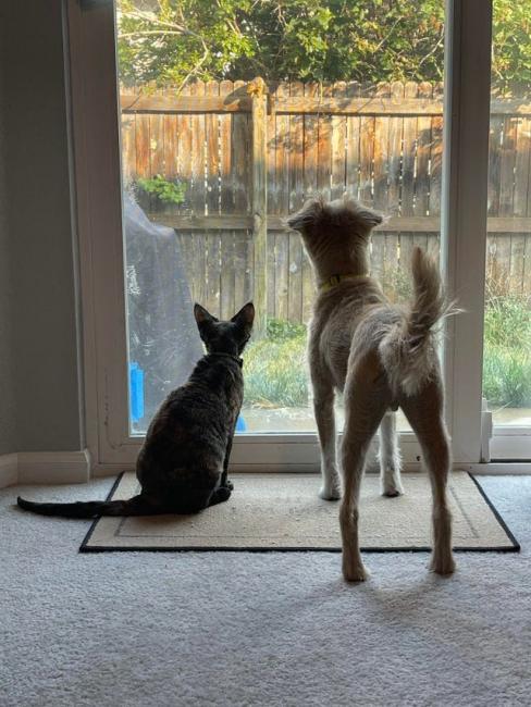 ������ ��������