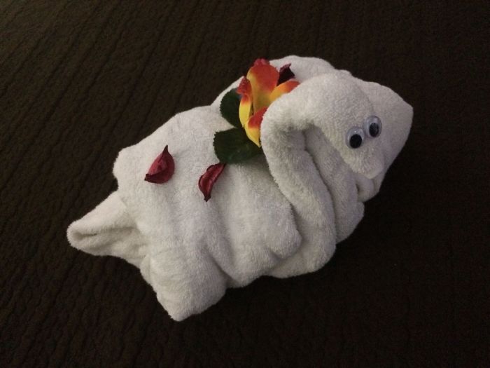 ������ ��������