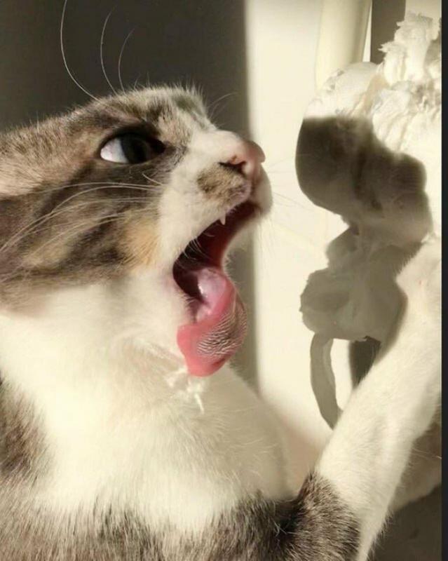 ������ ��������