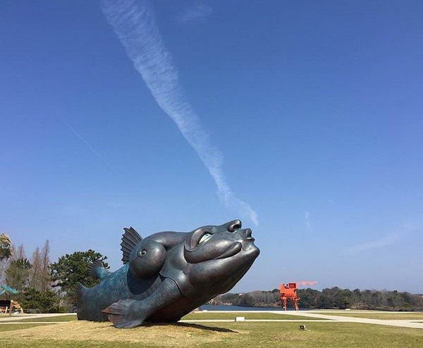 ������ ��������