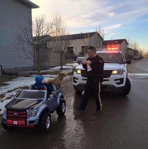 ������ ��������