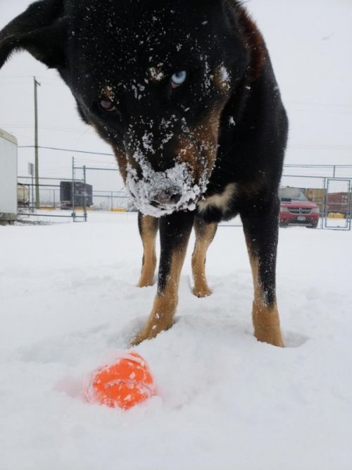 ������ ��������