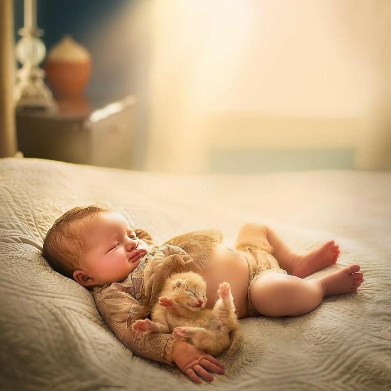 ������ ��������