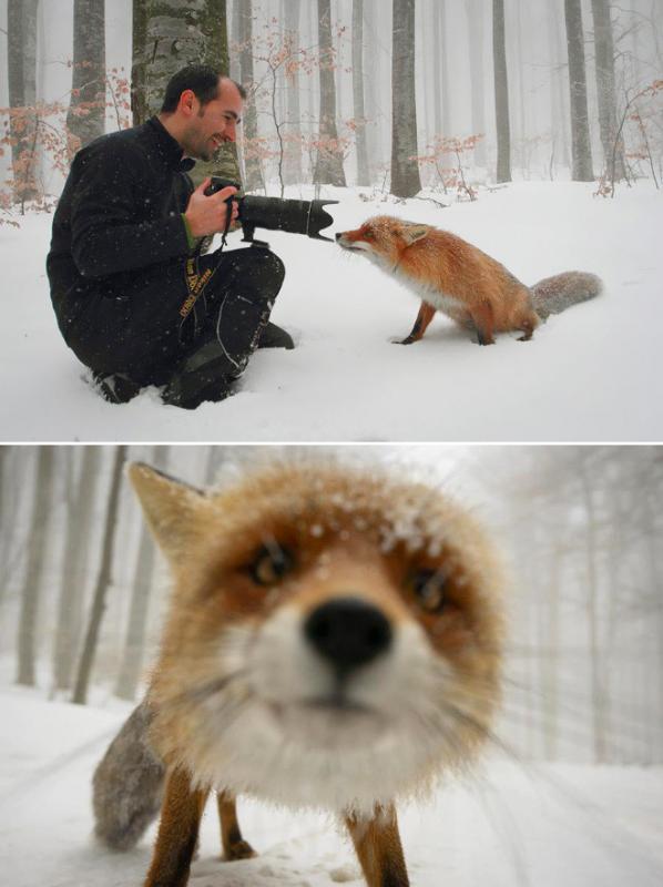 ������ ��������