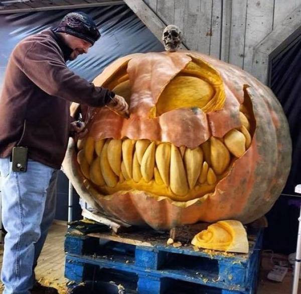 ������ ��������