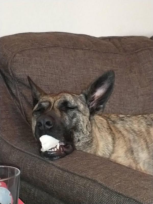 ������ ��������