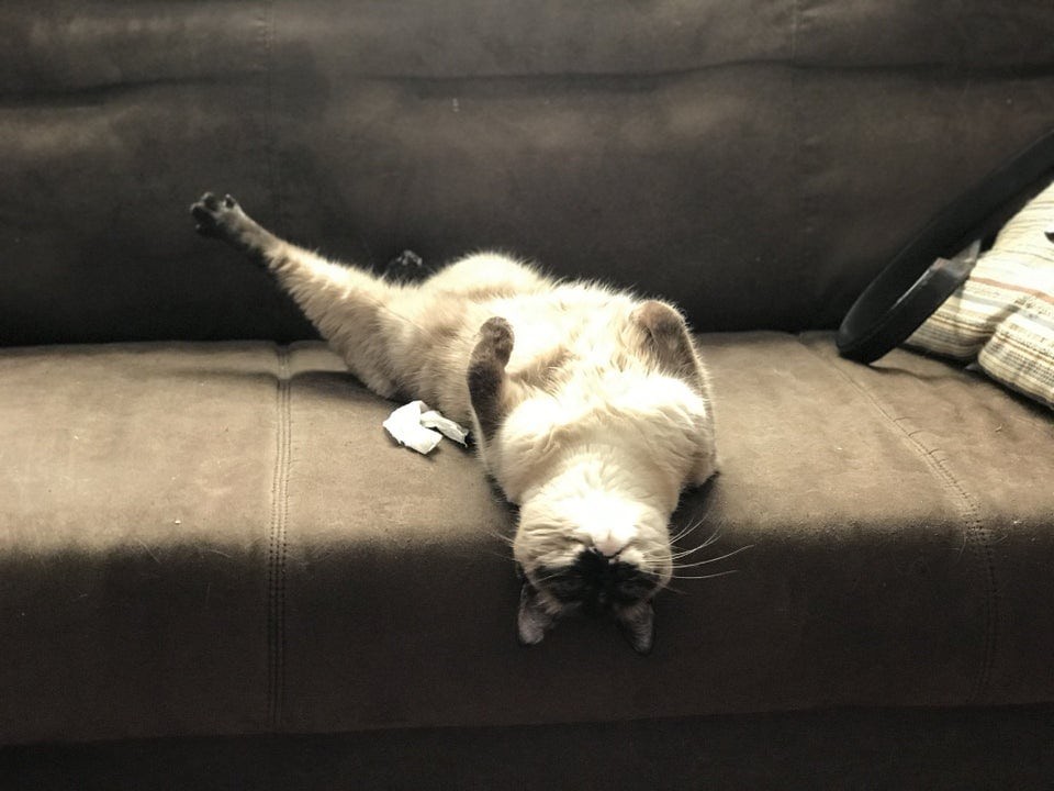 ������ ��������