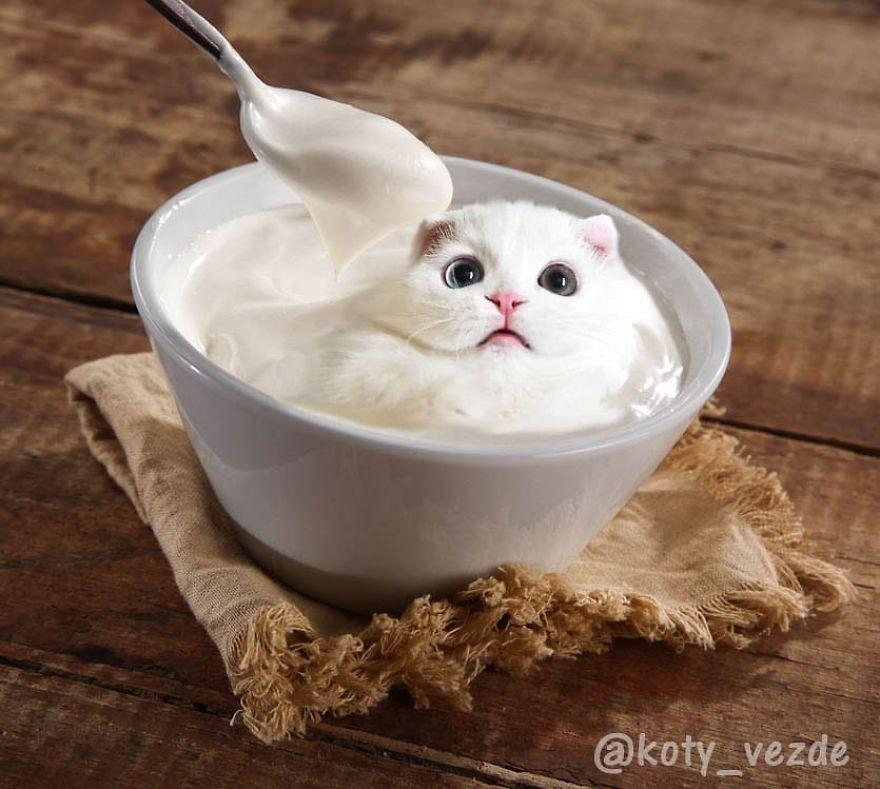 ������ ��������