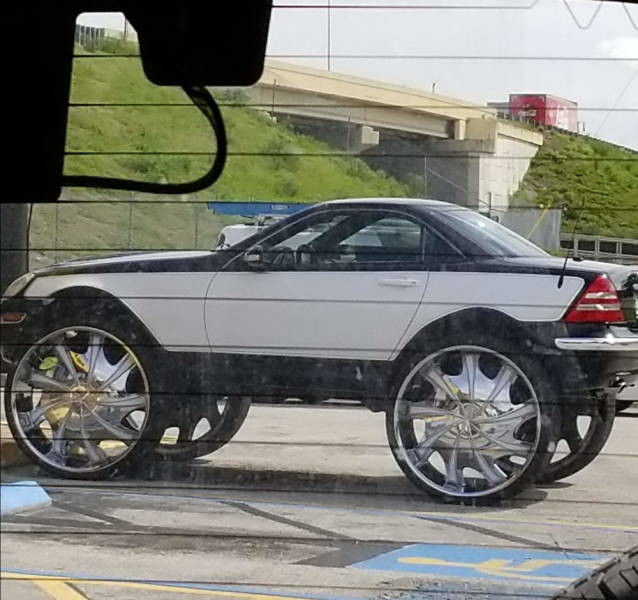 ������ ��������