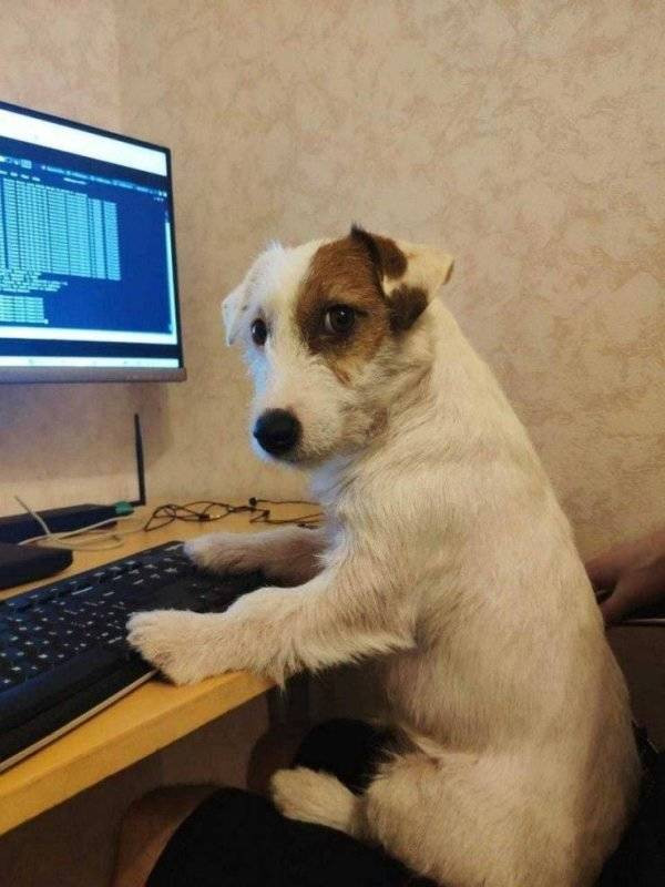 ������ ��������