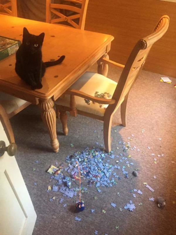 ������ ��������