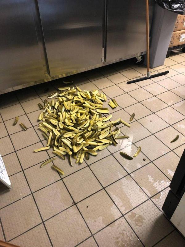 ������ ��������