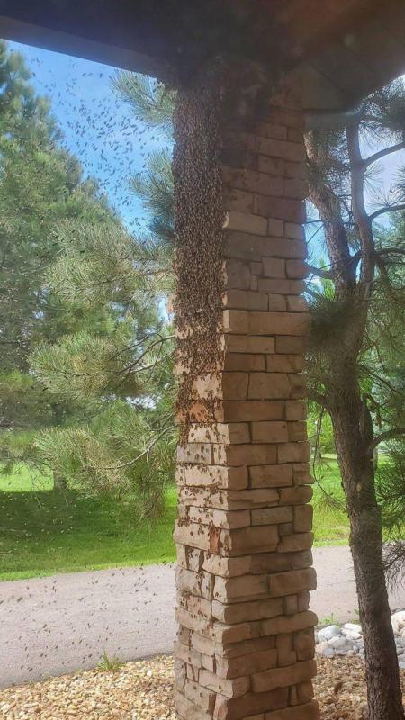 ������ ��������