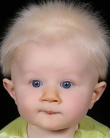 ������ ��������