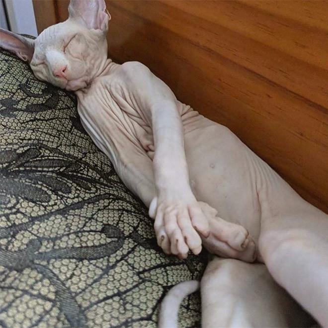 ������ ��������