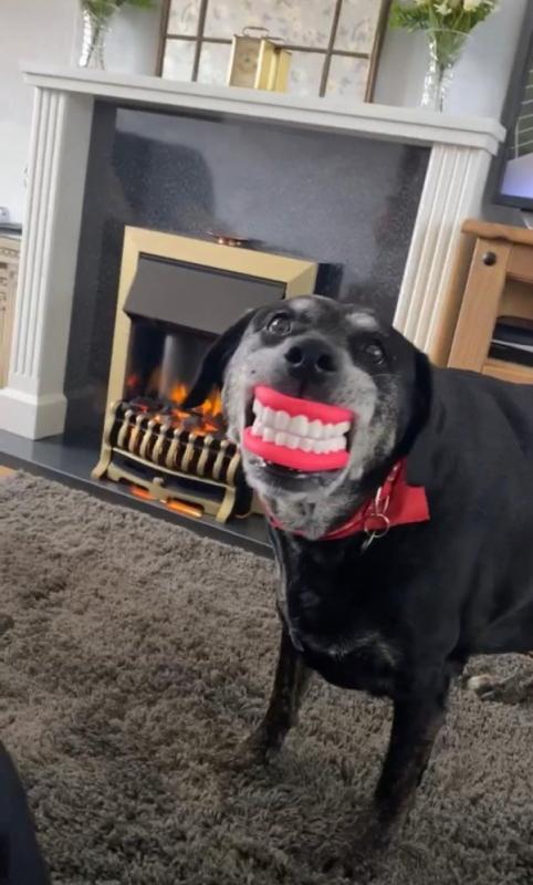 ������ ��������