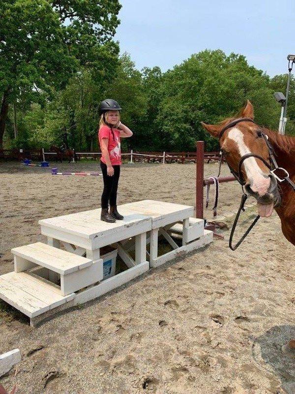 ������ ��������