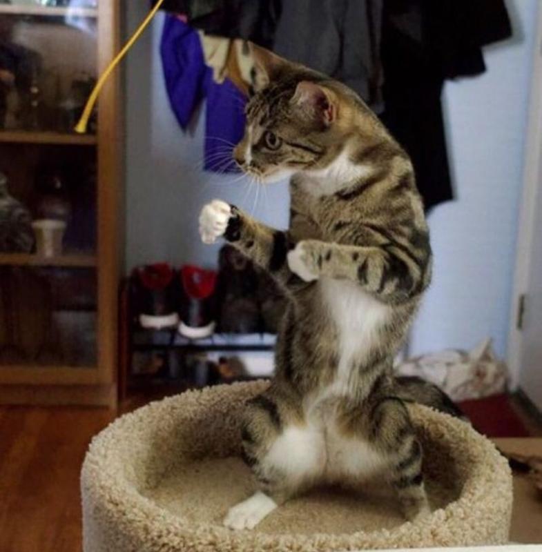 ������ ��������