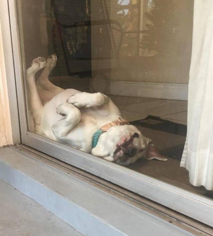 ������ ��������