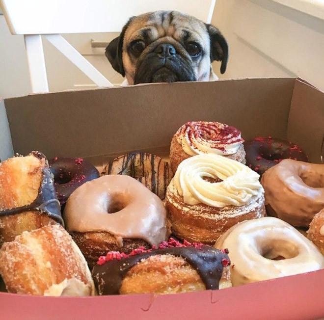 ������ ��������