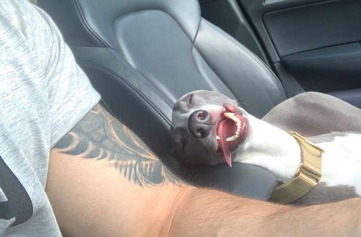 ������ ��������