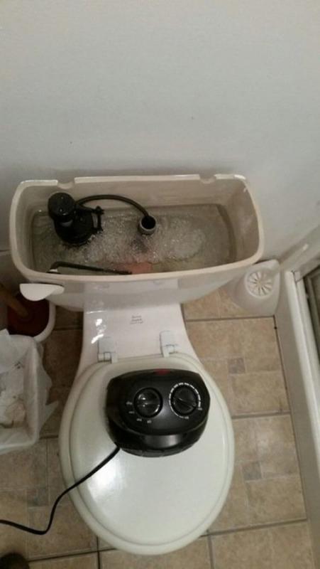 ������ ��������