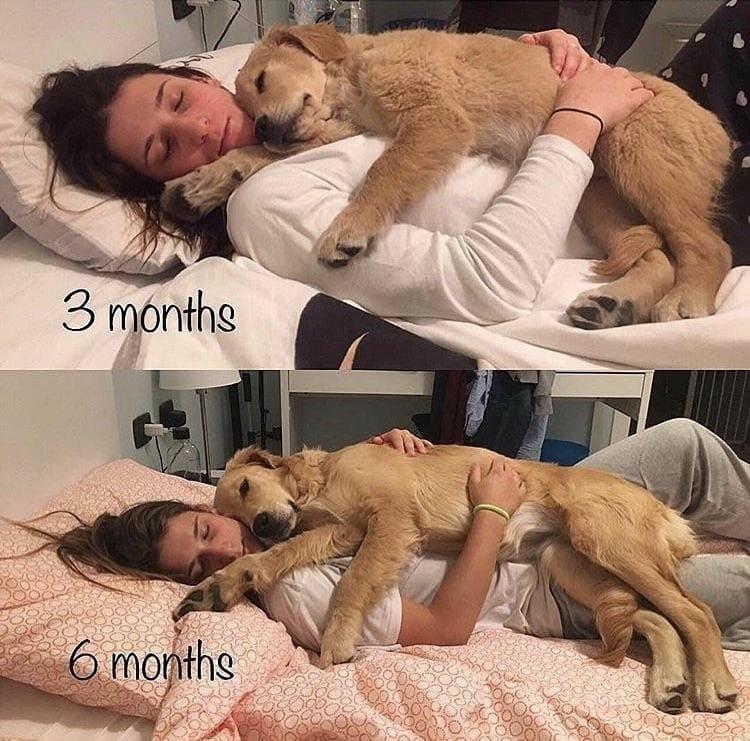 ������ ��������