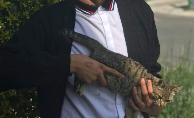 ������ ��������