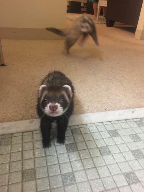 ������ ��������