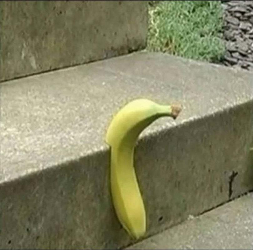 ������ ��������