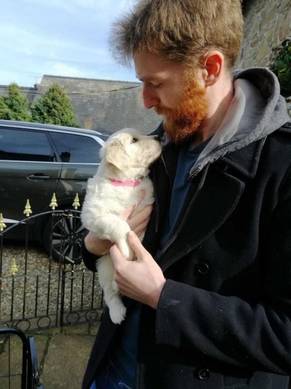 ������ ��������