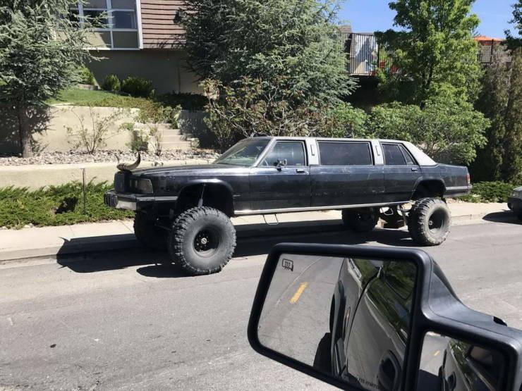 ������ ��������